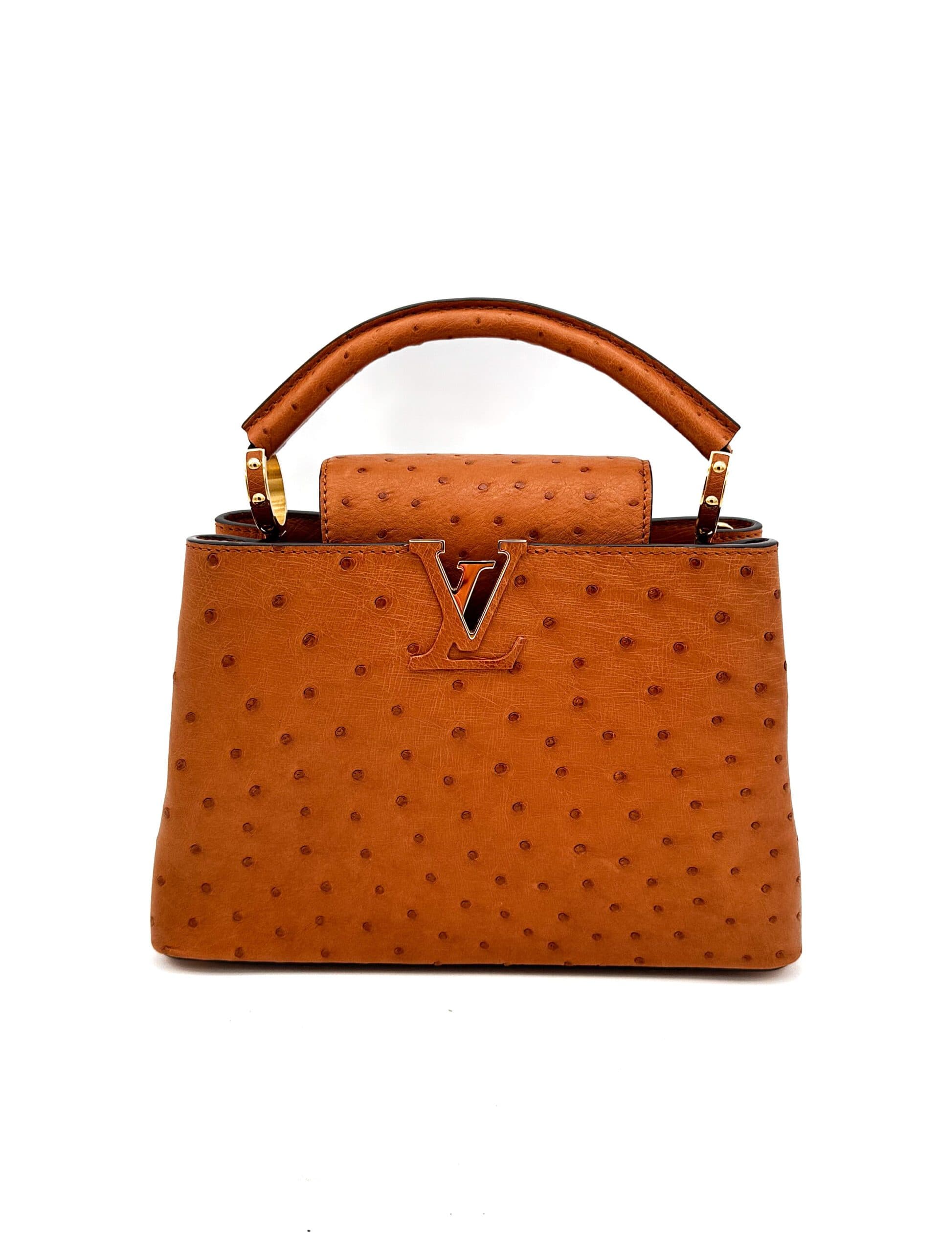 Louis Vuitton Capucines Mini/MM Ostrich Bag